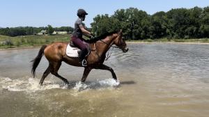 Goldie Morgan Hayden Fair Hill